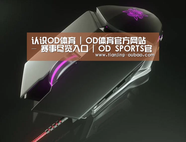 鼠标封面设计