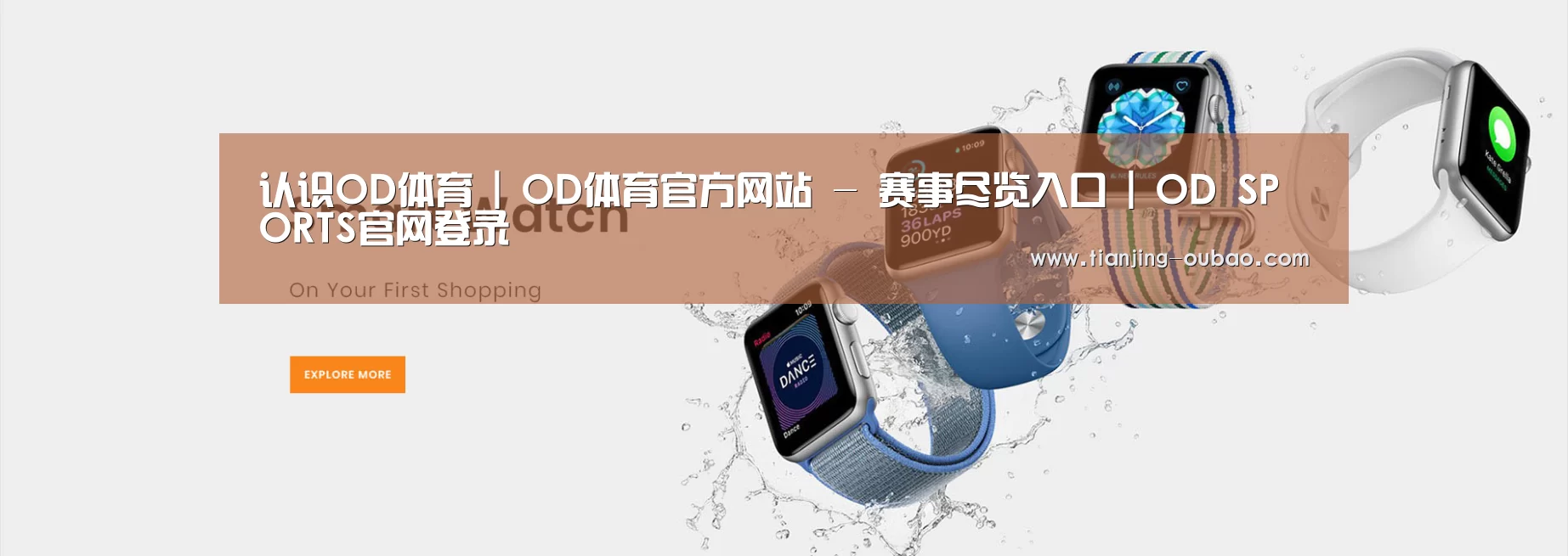 某某网络科技有限公司